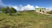 Vaucluse, Lot 7, Countryside  - Barbados